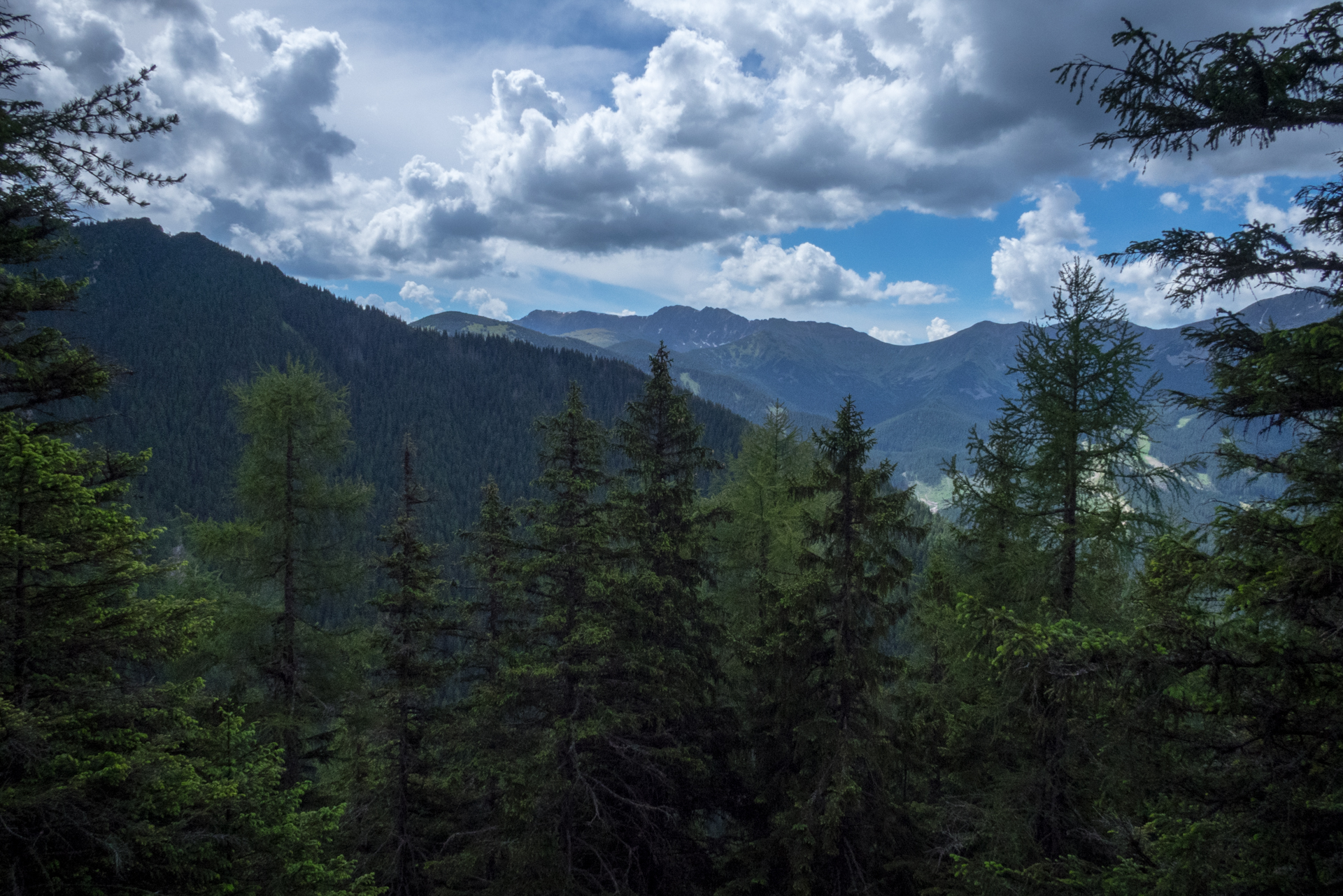 cez Krakovu hoľu do Iľanova (Nízke Tatry)