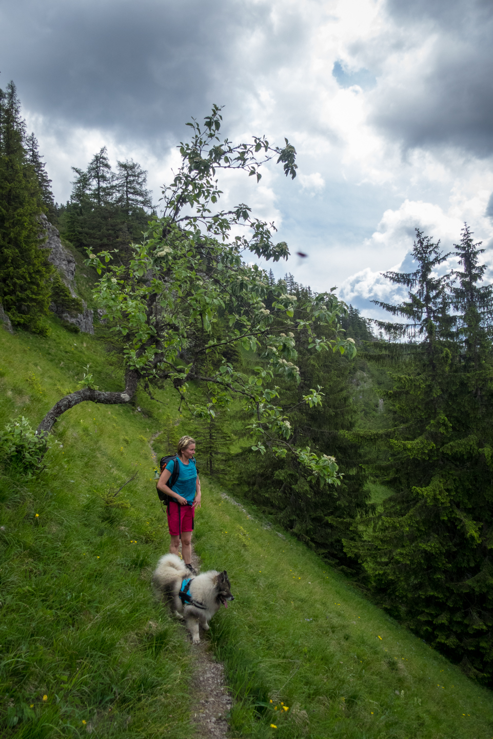 cez Krakovu hoľu do Iľanova (Nízke Tatry)