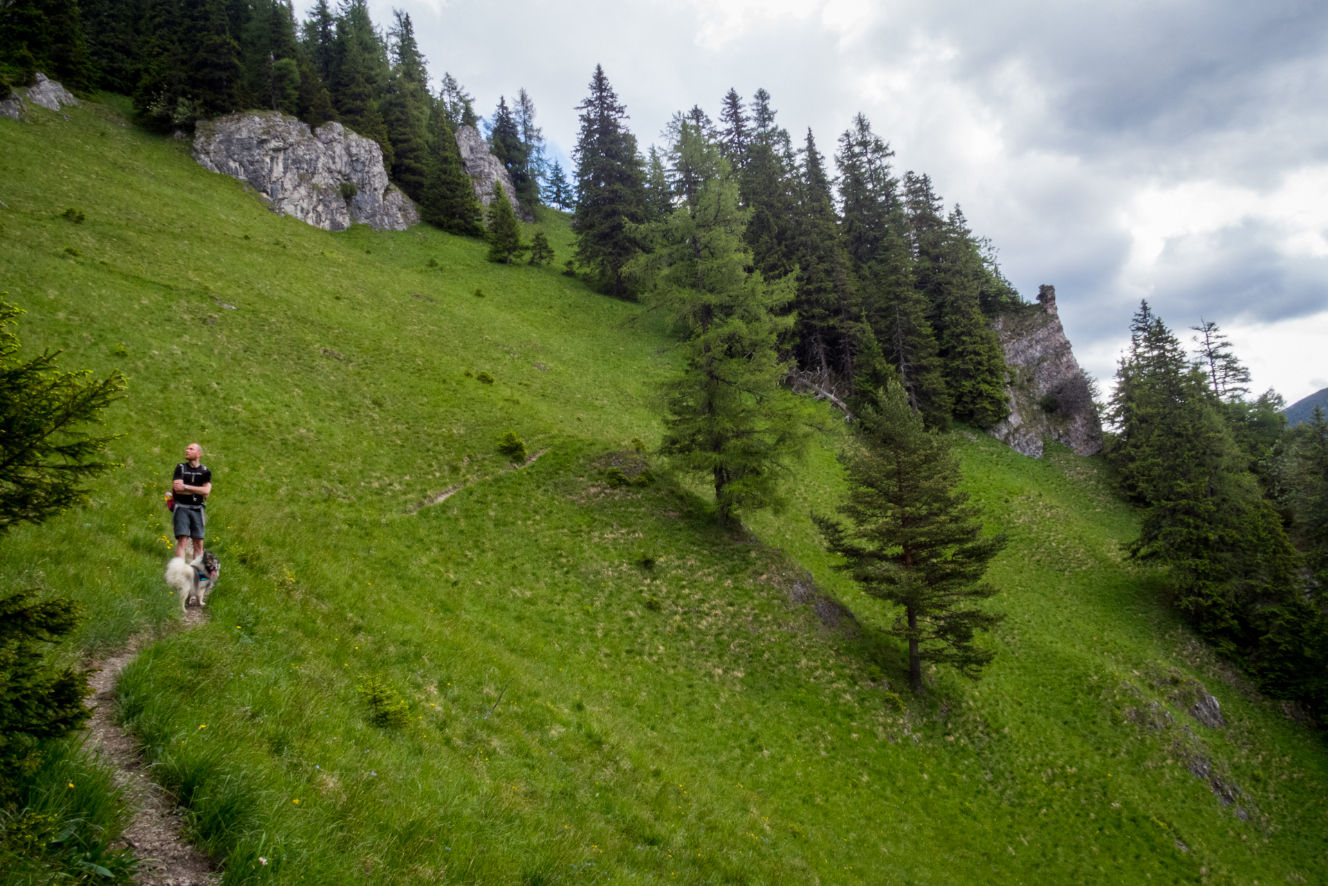 cez Krakovu hoľu do Iľanova (Nízke Tatry)