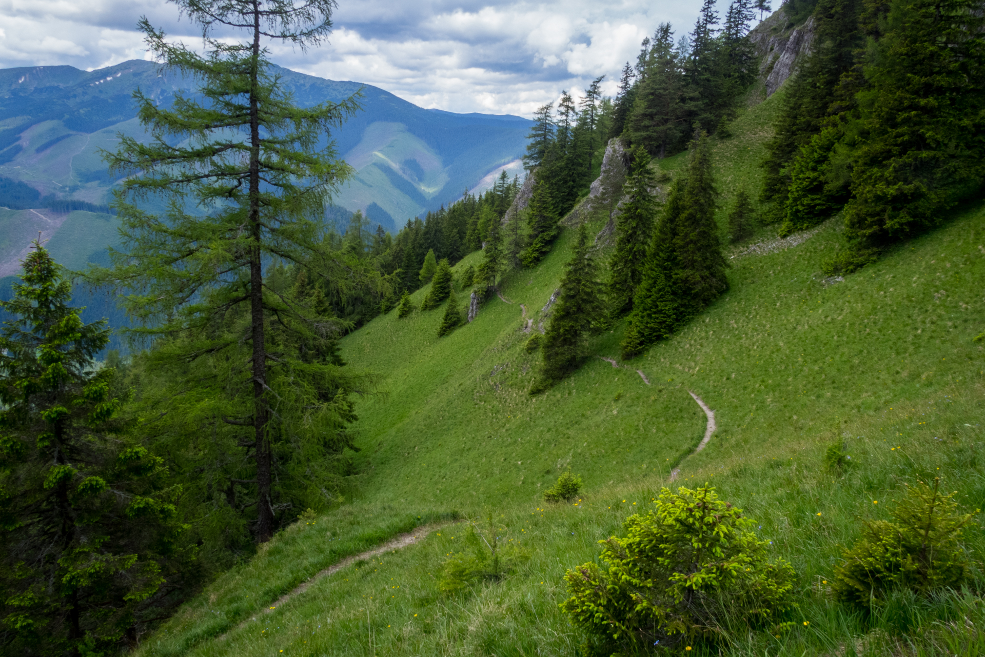 cez Krakovu hoľu do Iľanova (Nízke Tatry)