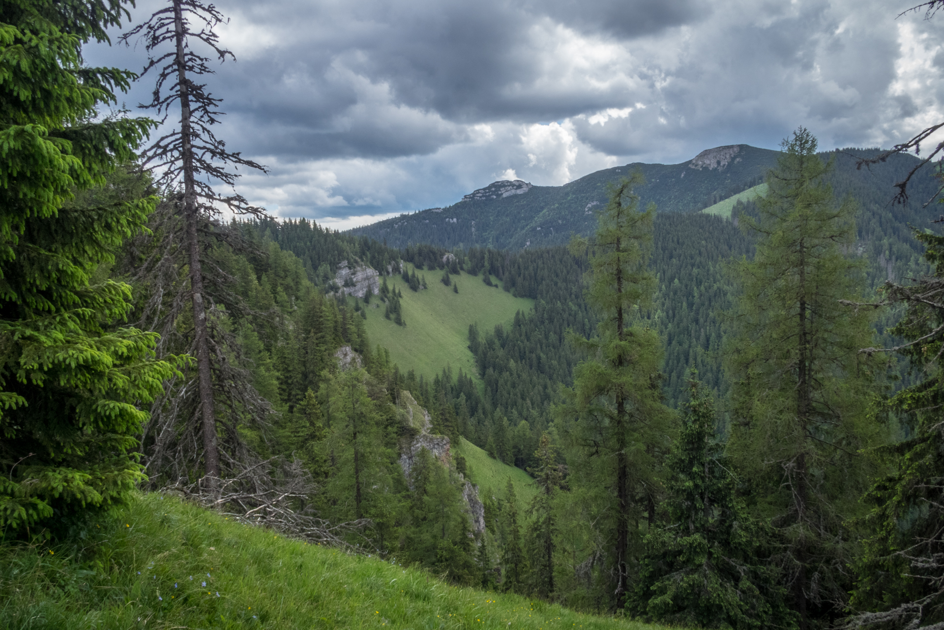 cez Krakovu hoľu do Iľanova (Nízke Tatry)