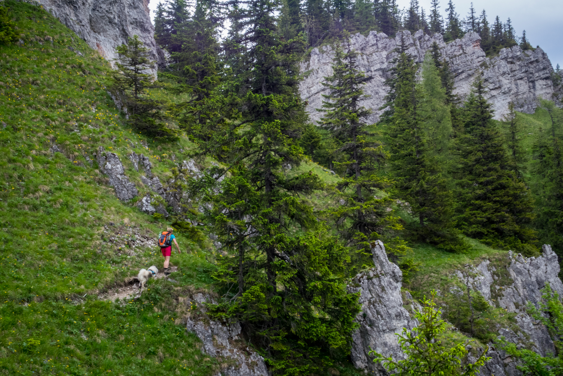 cez Krakovu hoľu do Iľanova (Nízke Tatry)