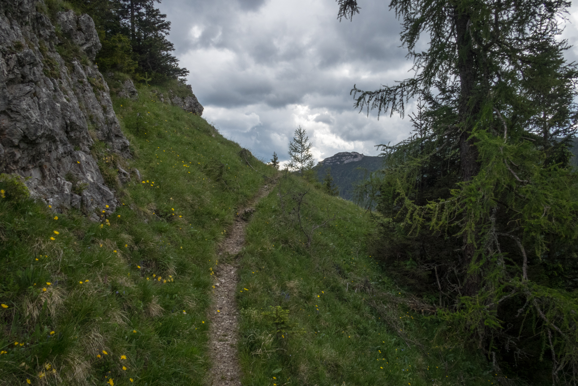 cez Krakovu hoľu do Iľanova (Nízke Tatry)