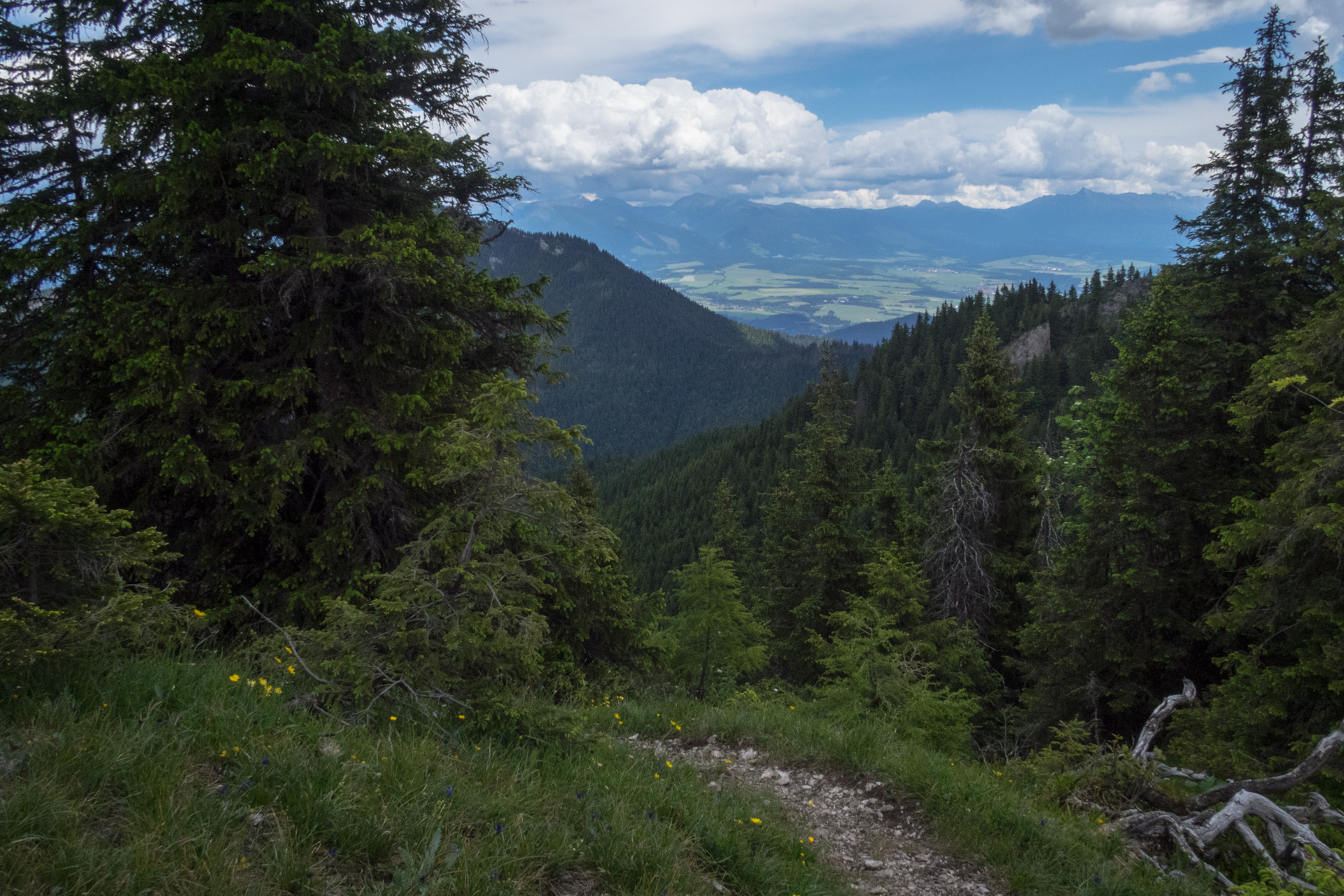 cez Krakovu hoľu do Iľanova (Nízke Tatry)