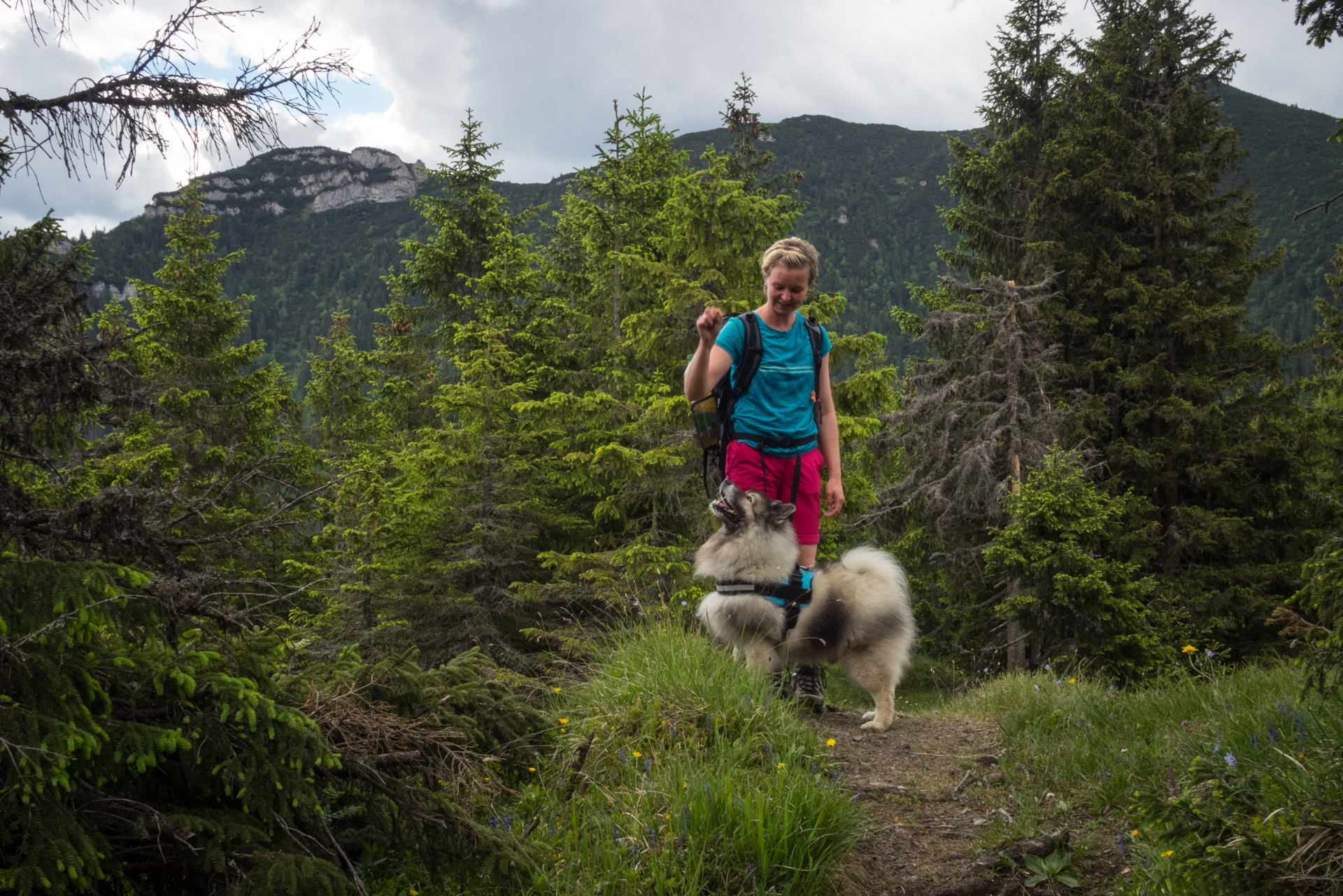 cez Krakovu hoľu do Iľanova (Nízke Tatry)