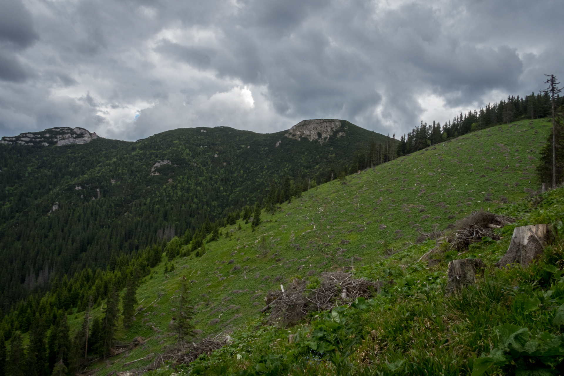 cez Krakovu hoľu do Iľanova (Nízke Tatry)