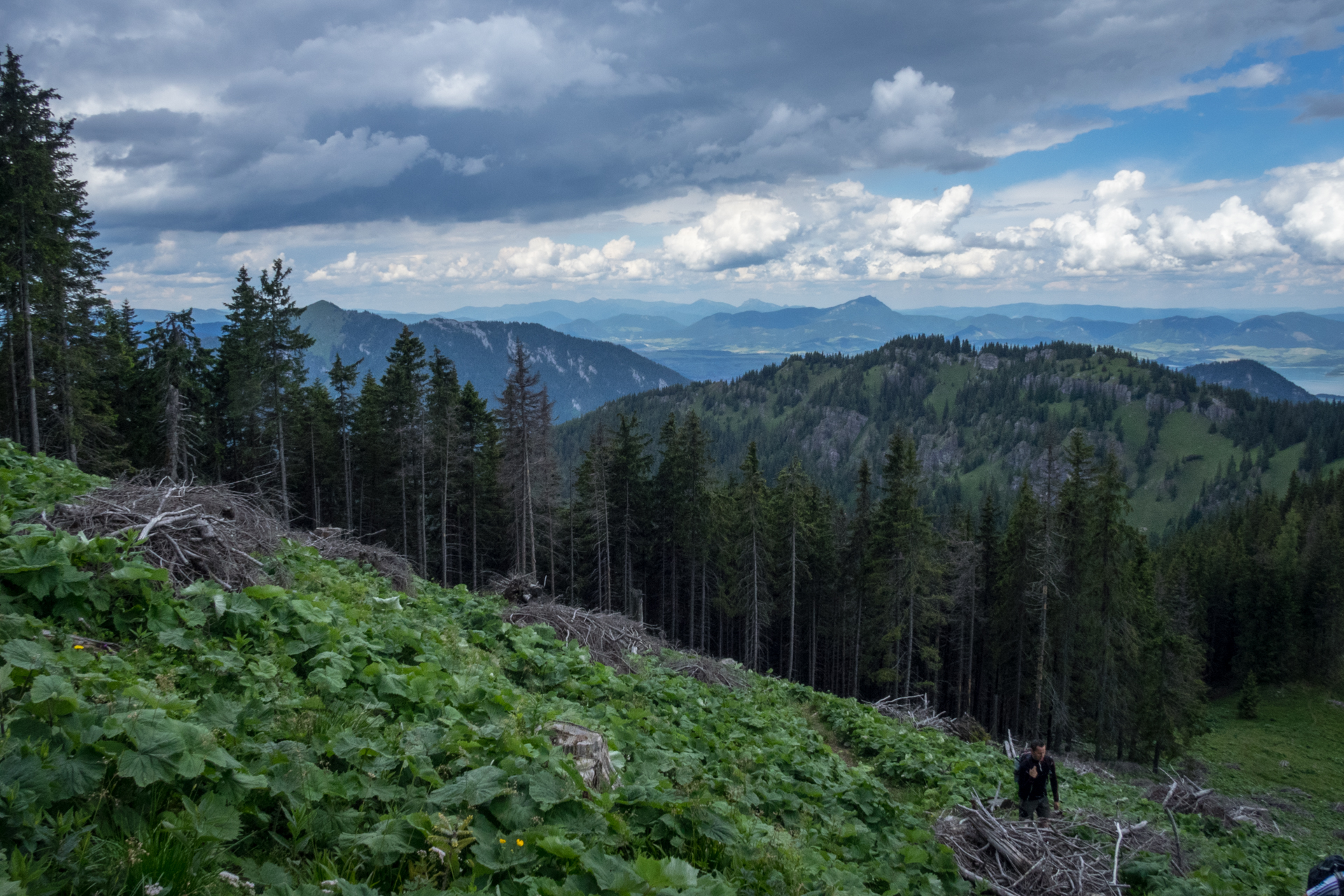 cez Krakovu hoľu do Iľanova (Nízke Tatry)