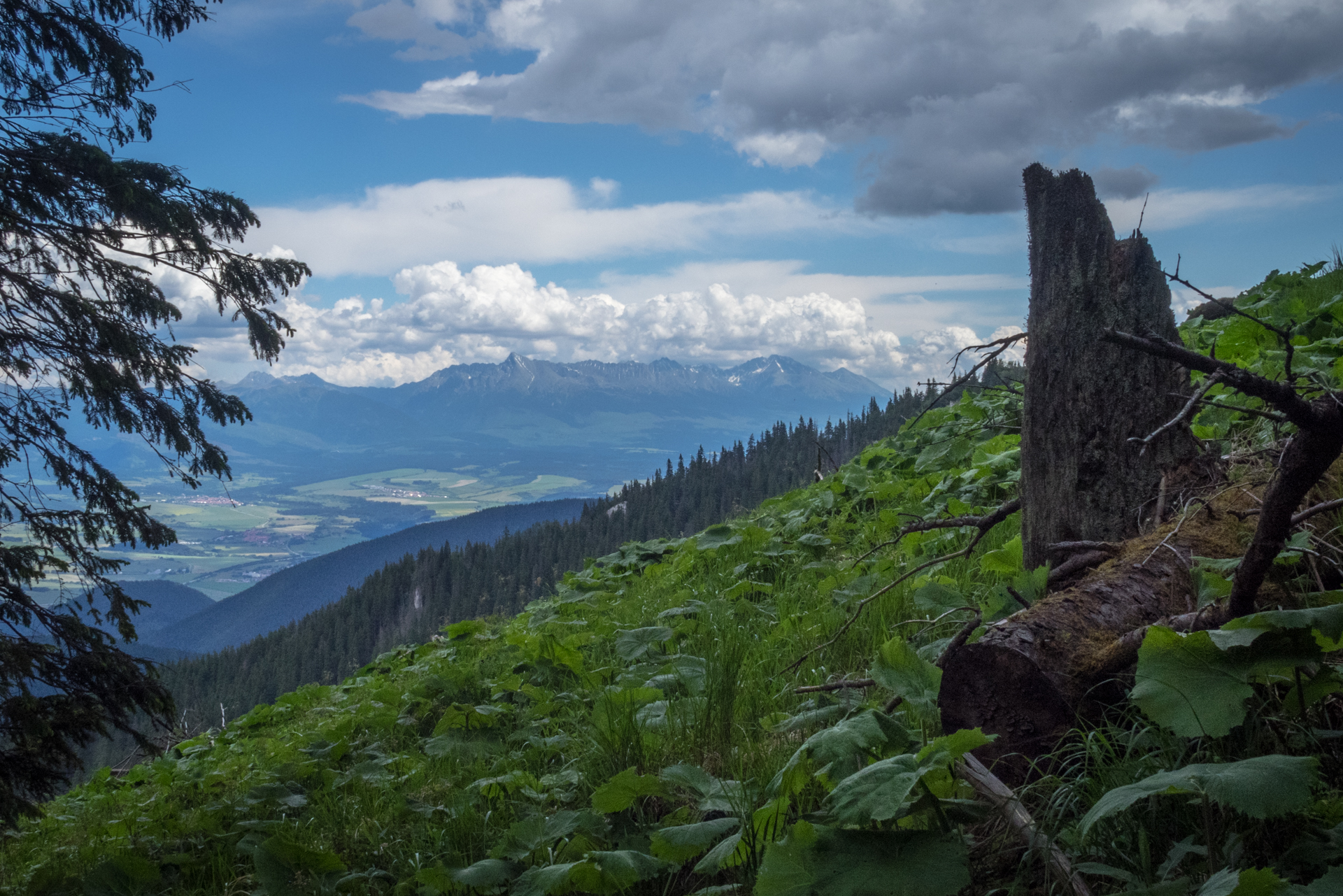 cez Krakovu hoľu do Iľanova (Nízke Tatry)