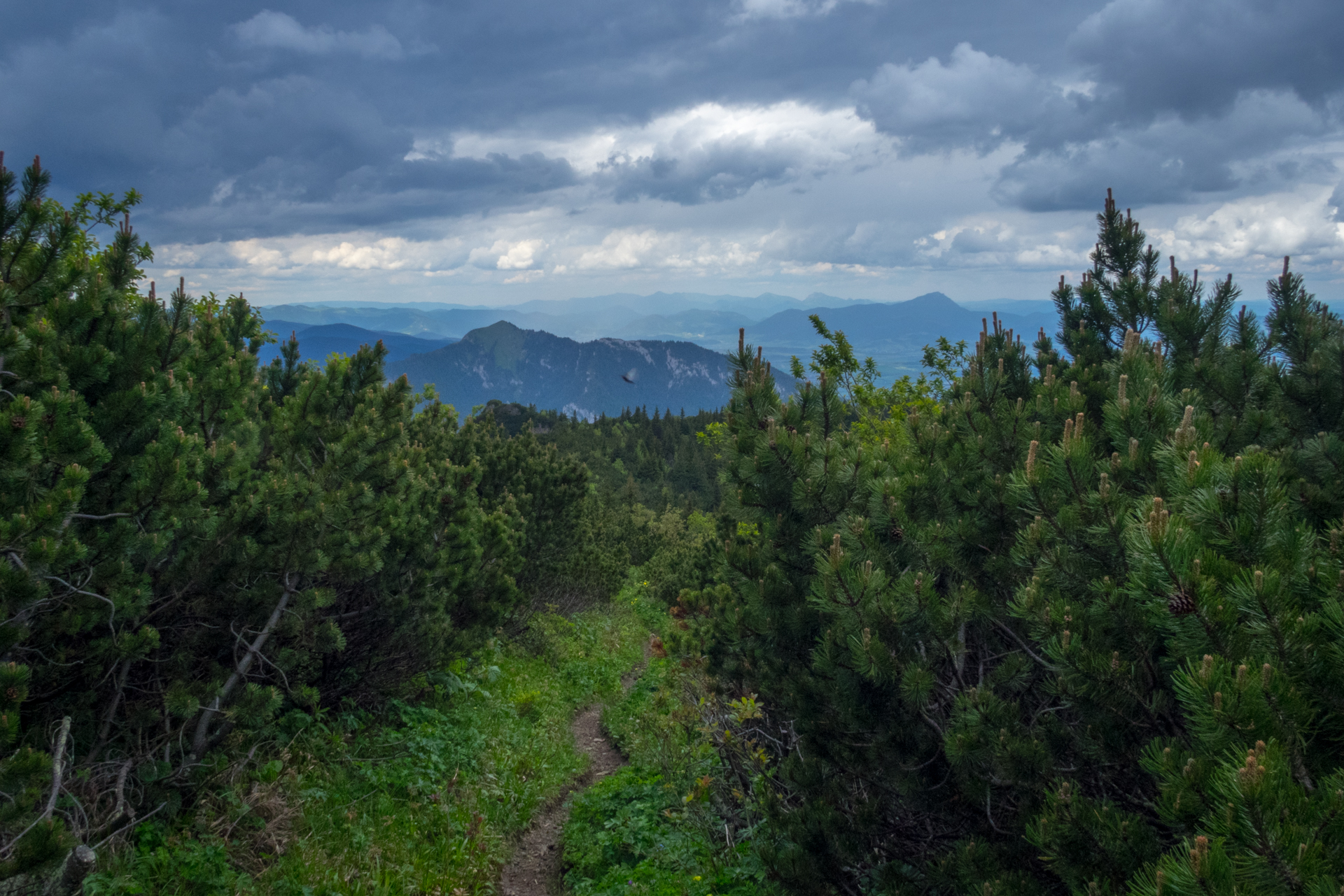 cez Krakovu hoľu do Iľanova (Nízke Tatry)