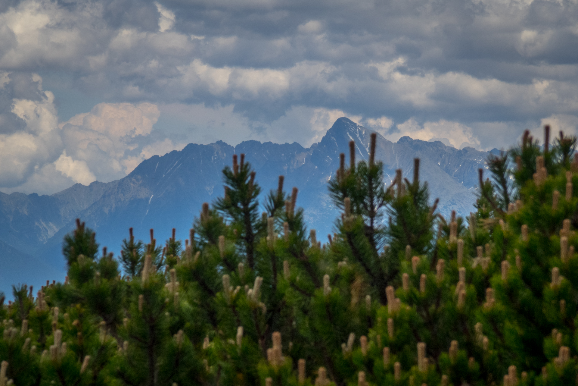 cez Krakovu hoľu do Iľanova (Nízke Tatry)