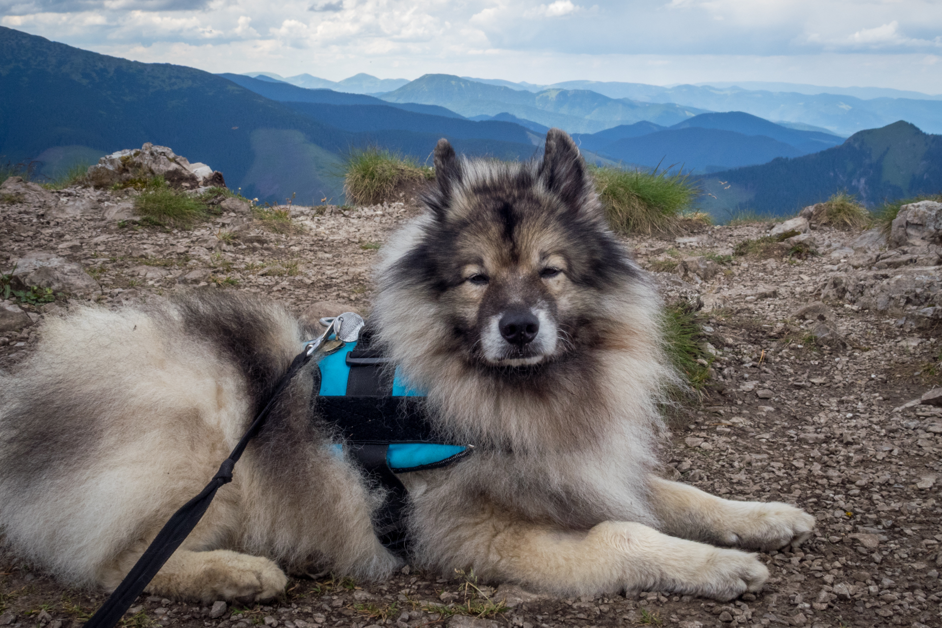 cez Krakovu hoľu do Iľanova (Nízke Tatry)