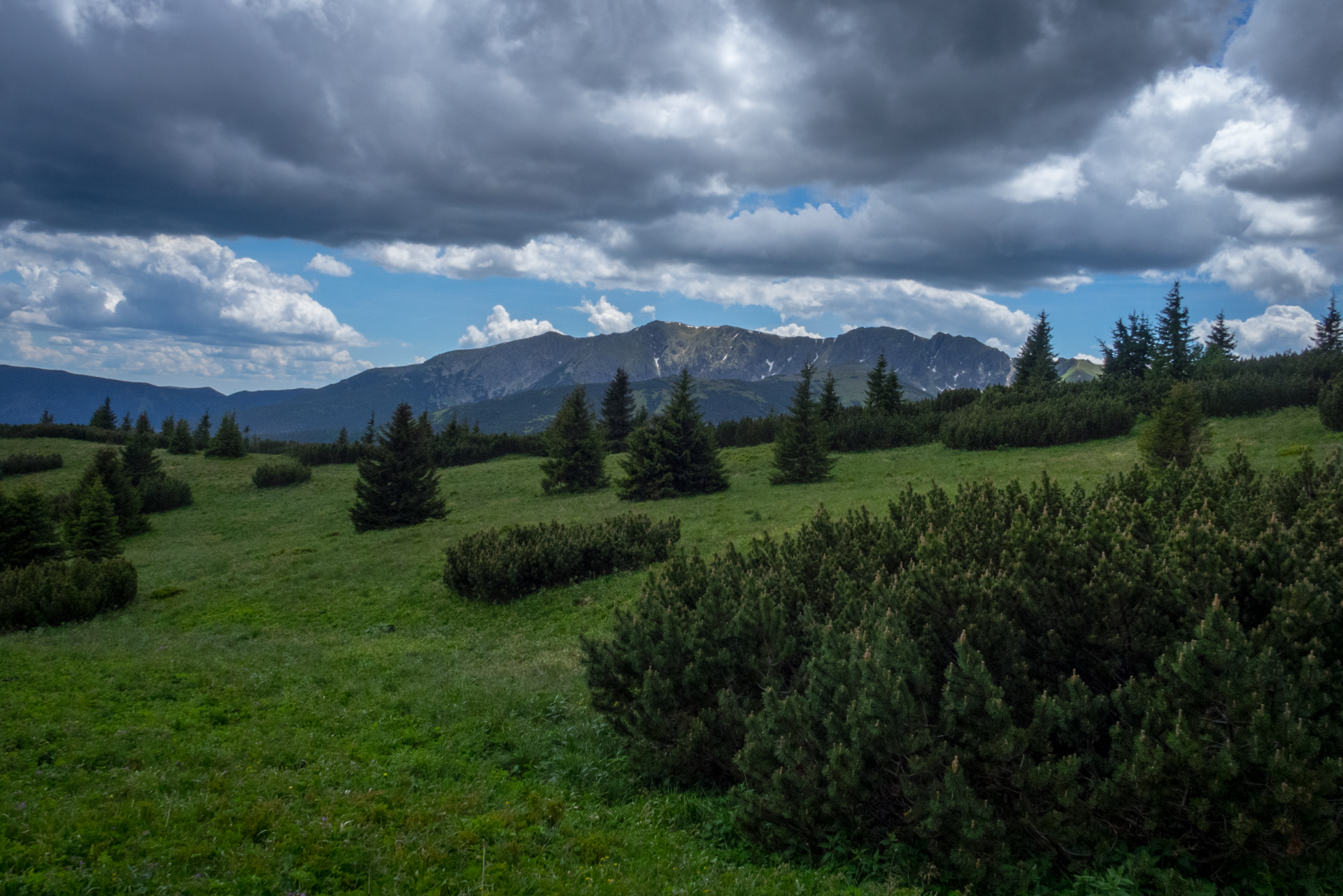 cez Krakovu hoľu do Iľanova (Nízke Tatry)