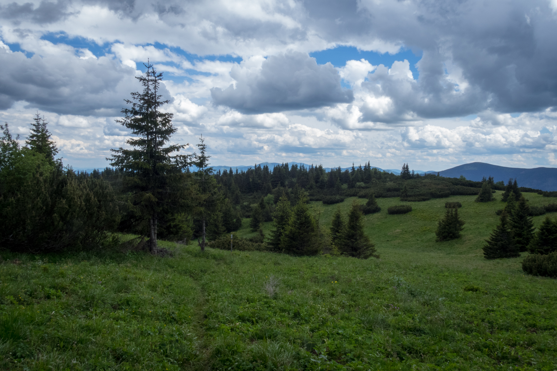 cez Krakovu hoľu do Iľanova (Nízke Tatry)