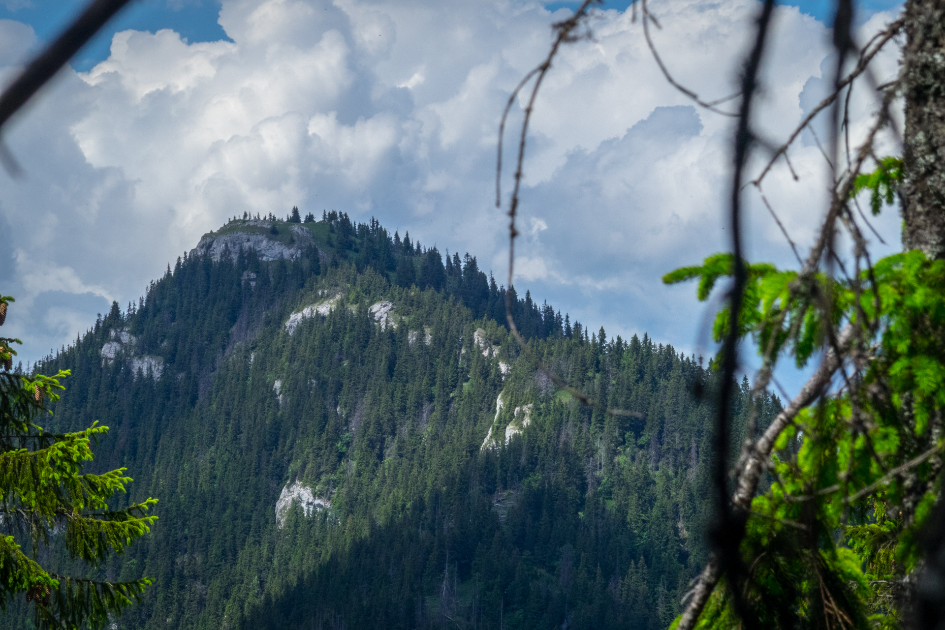 cez Krakovu hoľu do Iľanova (Nízke Tatry)