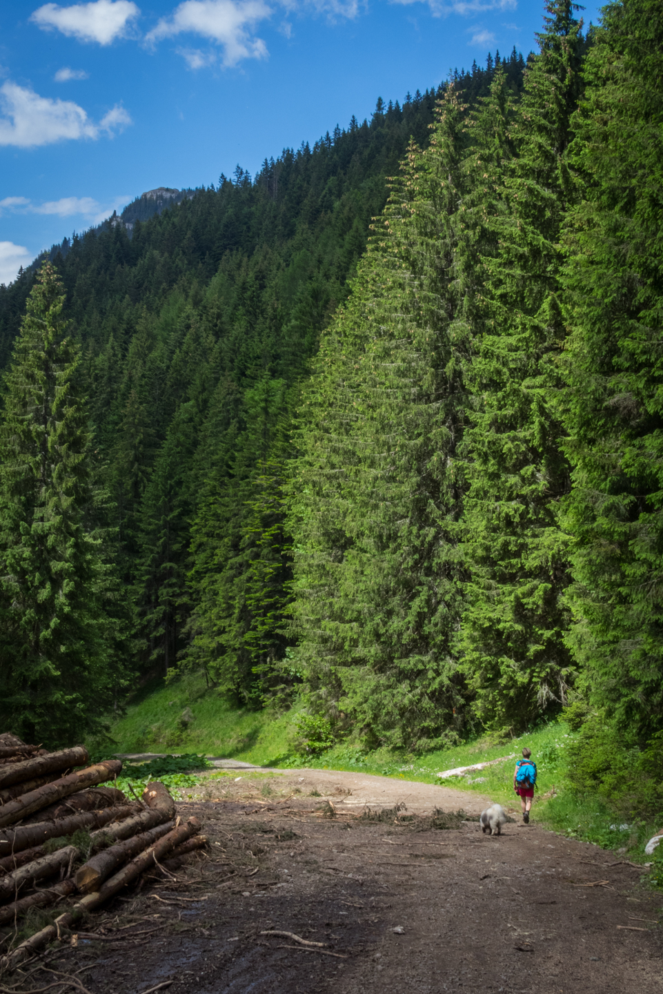 cez Krakovu hoľu do Iľanova (Nízke Tatry)