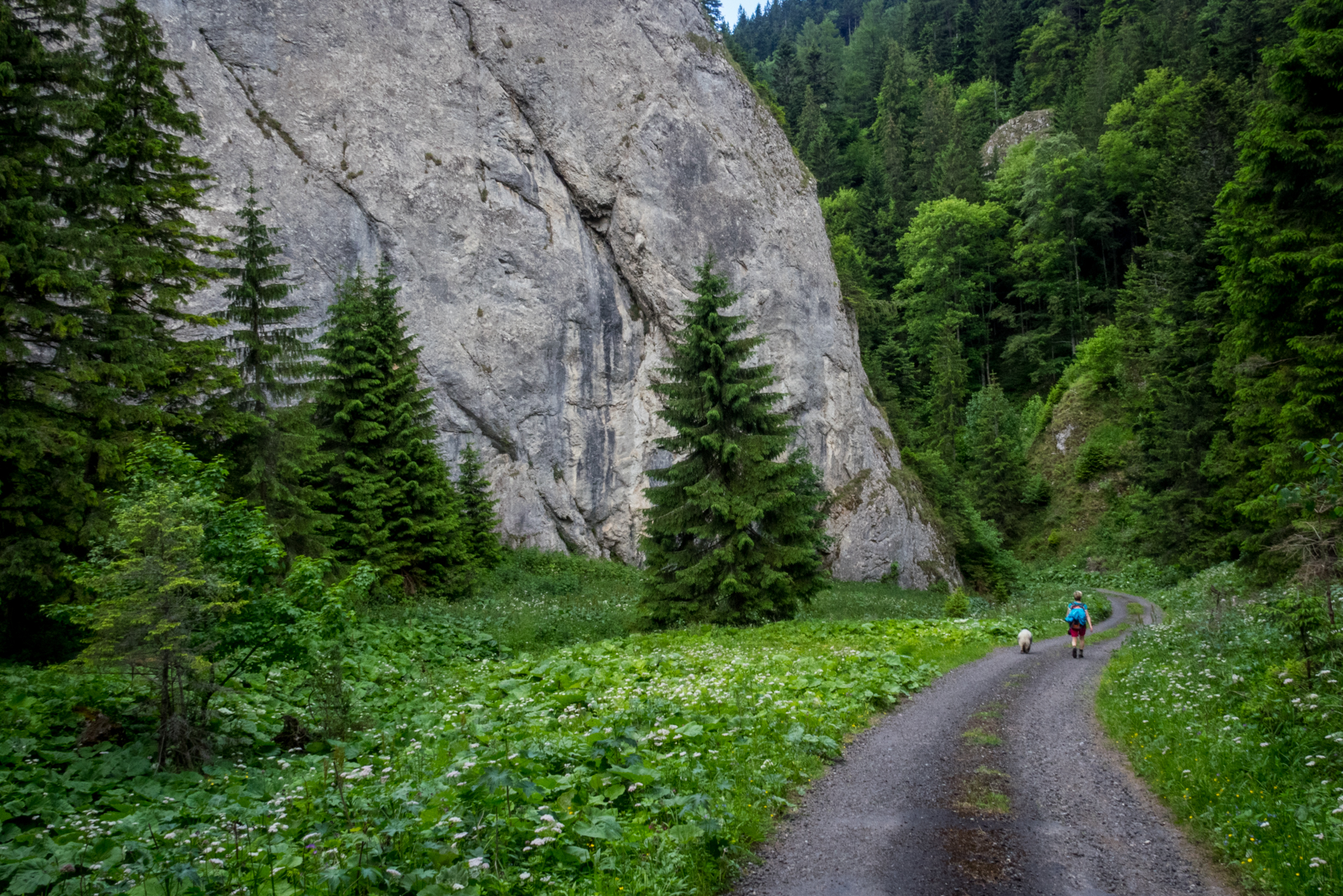 cez Krakovu hoľu do Iľanova (Nízke Tatry)