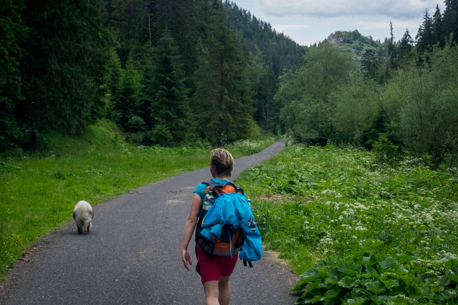 cez Krakovu hoľu do Iľanova (Nízke Tatry)