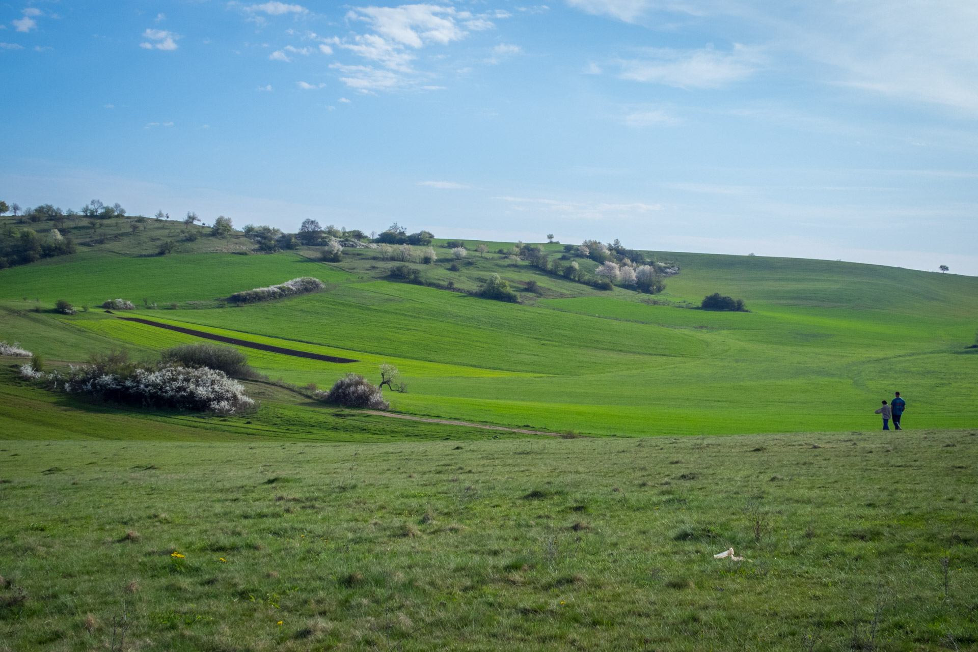 Dievčenská skala a Silická ľadnica skratkami Silickej planiny (Slovenský kras)