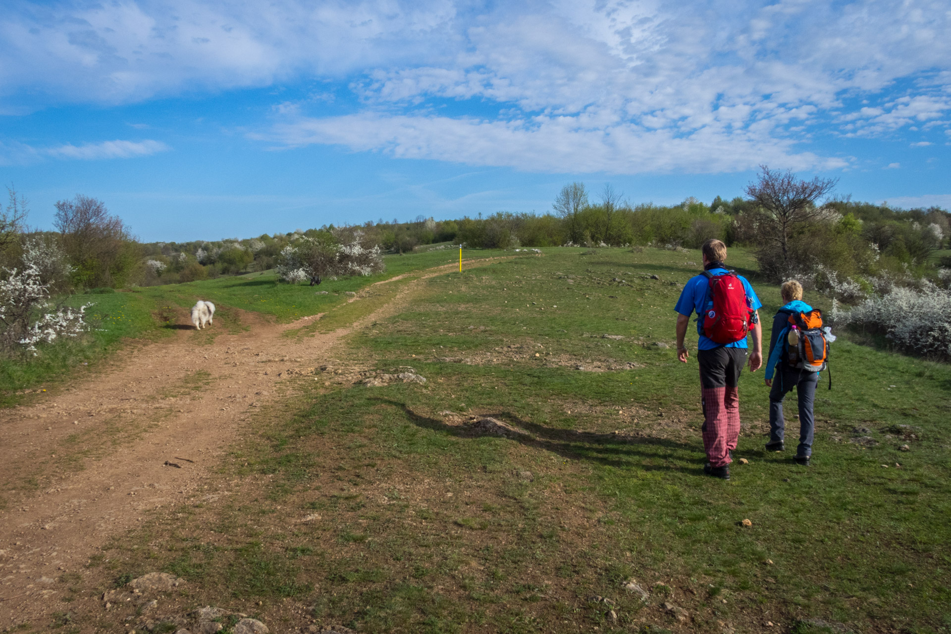 Dievčenská skala a Silická ľadnica skratkami Silickej planiny (Slovenský kras)