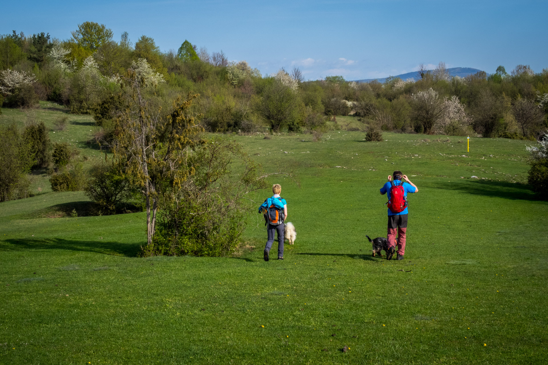 Dievčenská skala a Silická ľadnica skratkami Silickej planiny (Slovenský kras)