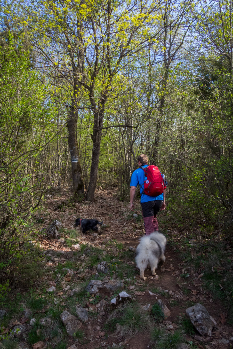 Dievčenská skala a Silická ľadnica skratkami Silickej planiny (Slovenský kras)