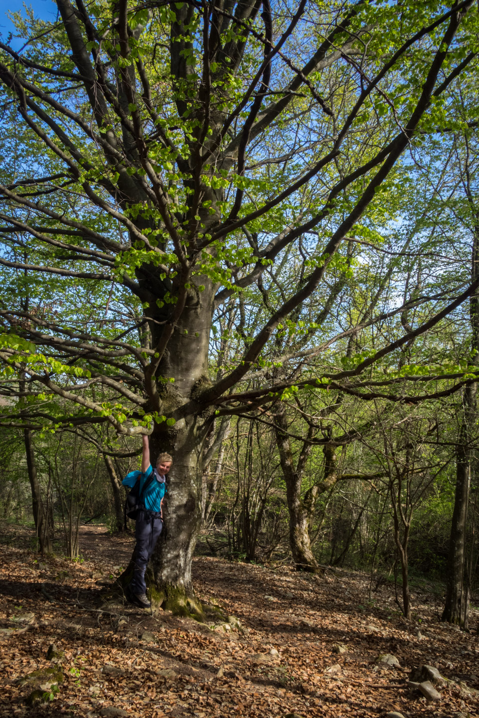 Dievčenská skala a Silická ľadnica skratkami Silickej planiny (Slovenský kras)