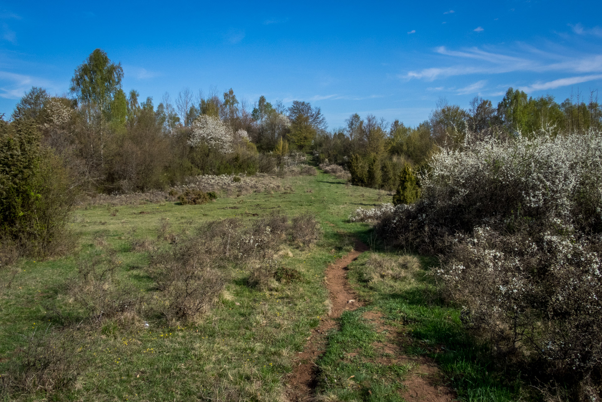 Dievčenská skala a Silická ľadnica skratkami Silickej planiny (Slovenský kras)