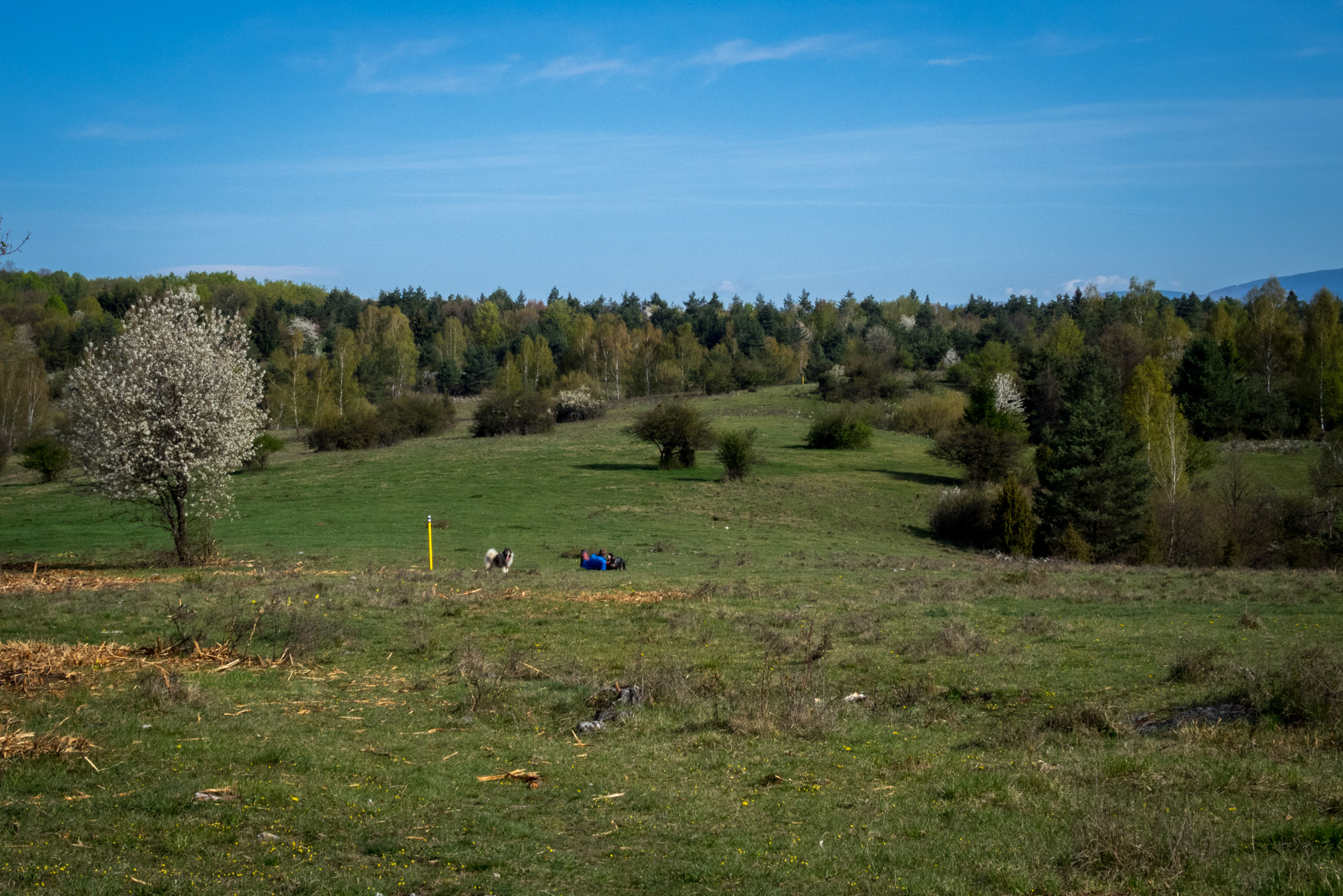 Dievčenská skala a Silická ľadnica skratkami Silickej planiny (Slovenský kras)