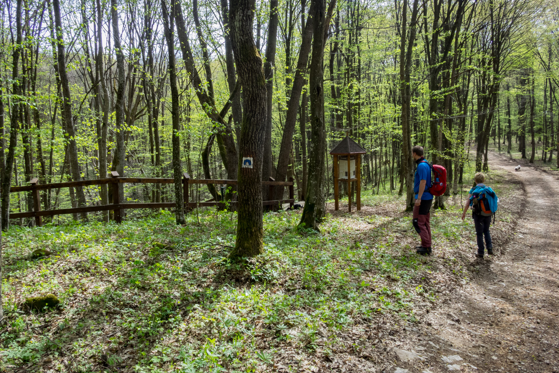 Dievčenská skala a Silická ľadnica skratkami Silickej planiny (Slovenský kras)