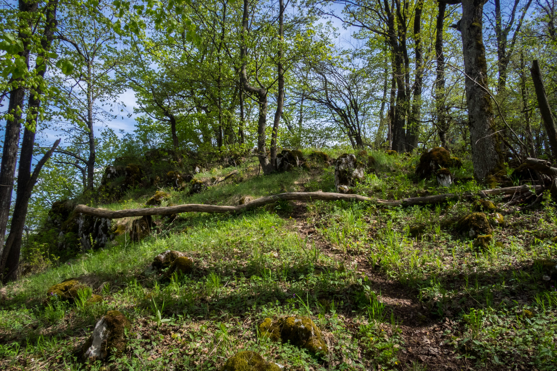 Dievčenská skala a Silická ľadnica skratkami Silickej planiny (Slovenský kras)