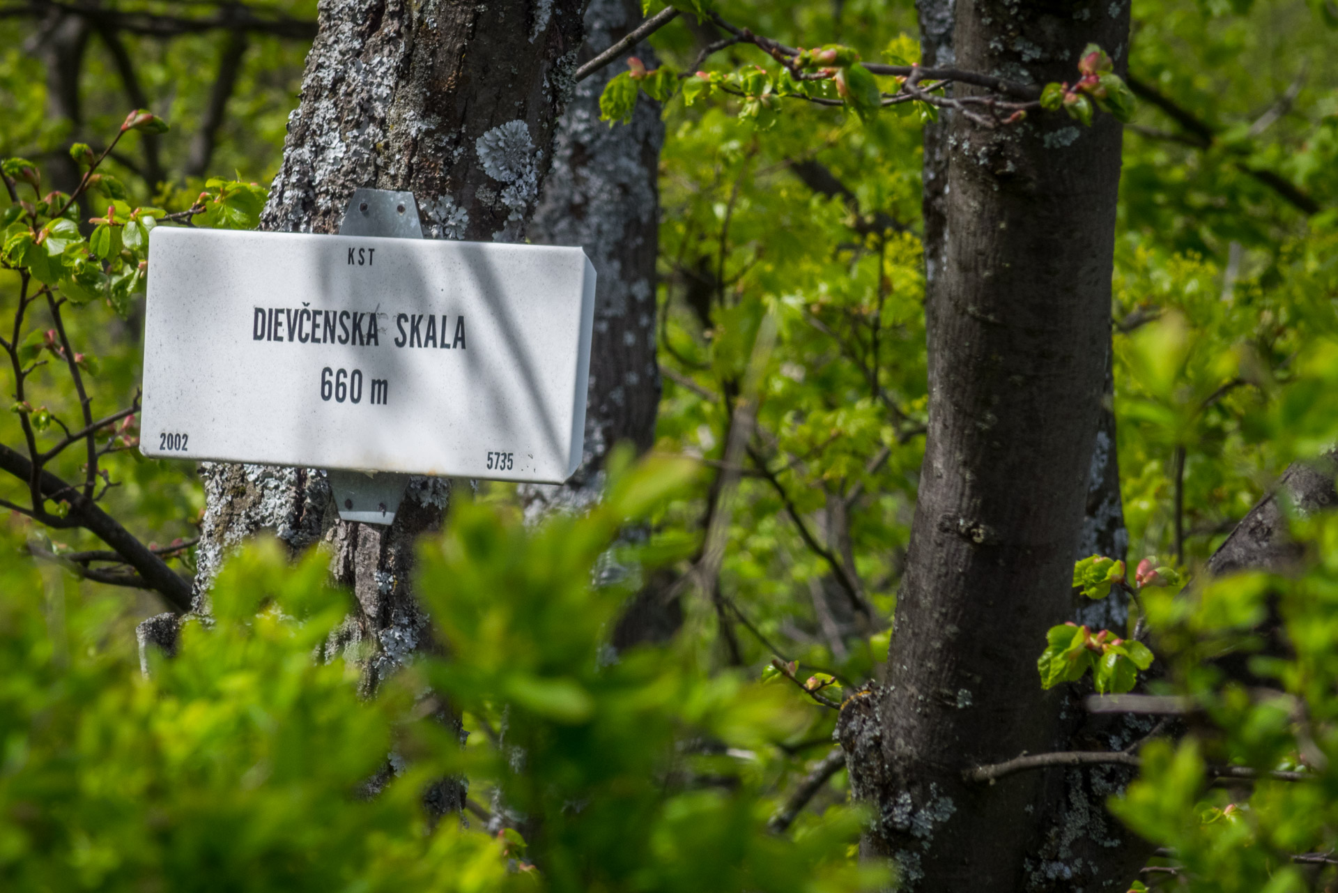 Dievčenská skala a Silická ľadnica skratkami Silickej planiny (Slovenský kras)