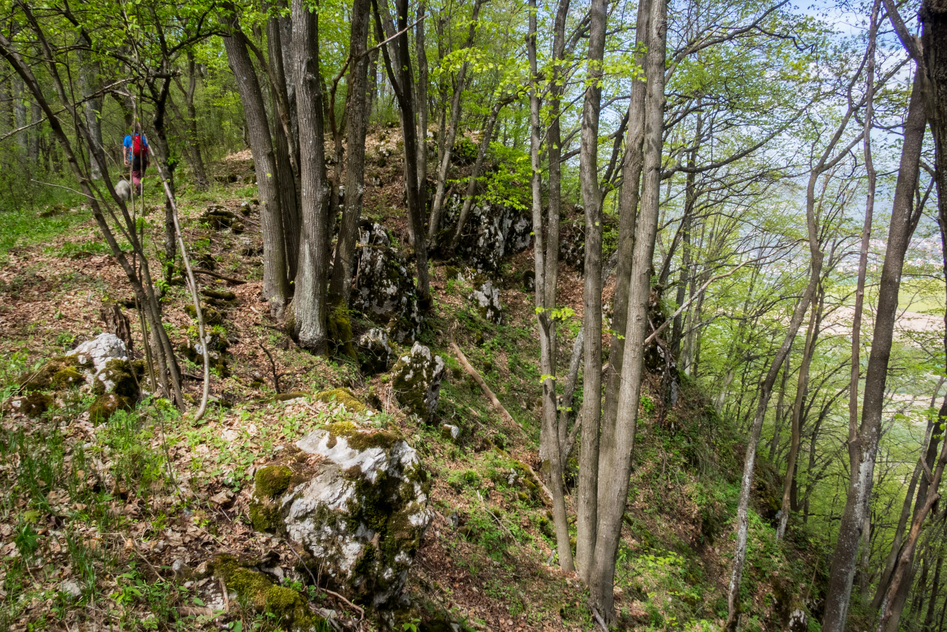 Dievčenská skala a Silická ľadnica skratkami Silickej planiny (Slovenský kras)