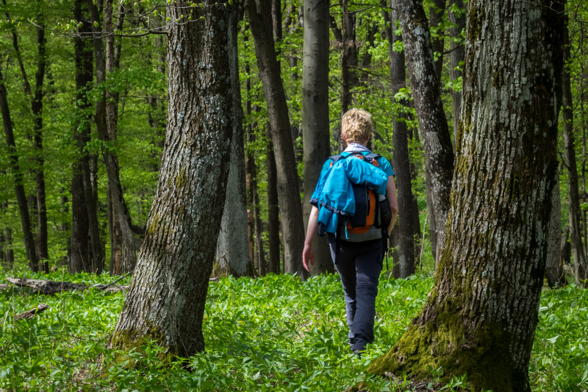 Dievčenská skala a Silická ľadnica skratkami Silickej planiny (Slovenský kras)