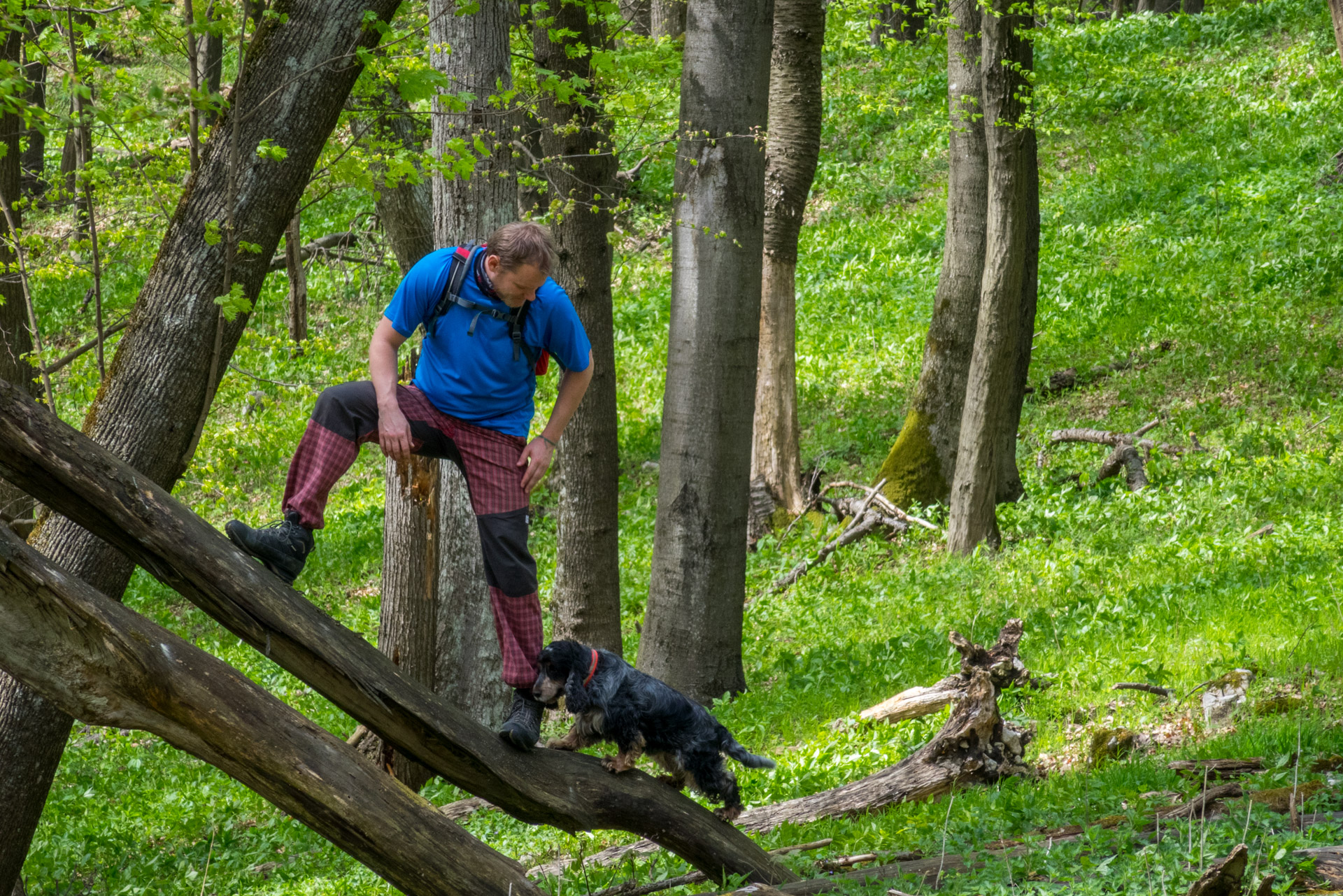 Dievčenská skala a Silická ľadnica skratkami Silickej planiny (Slovenský kras)