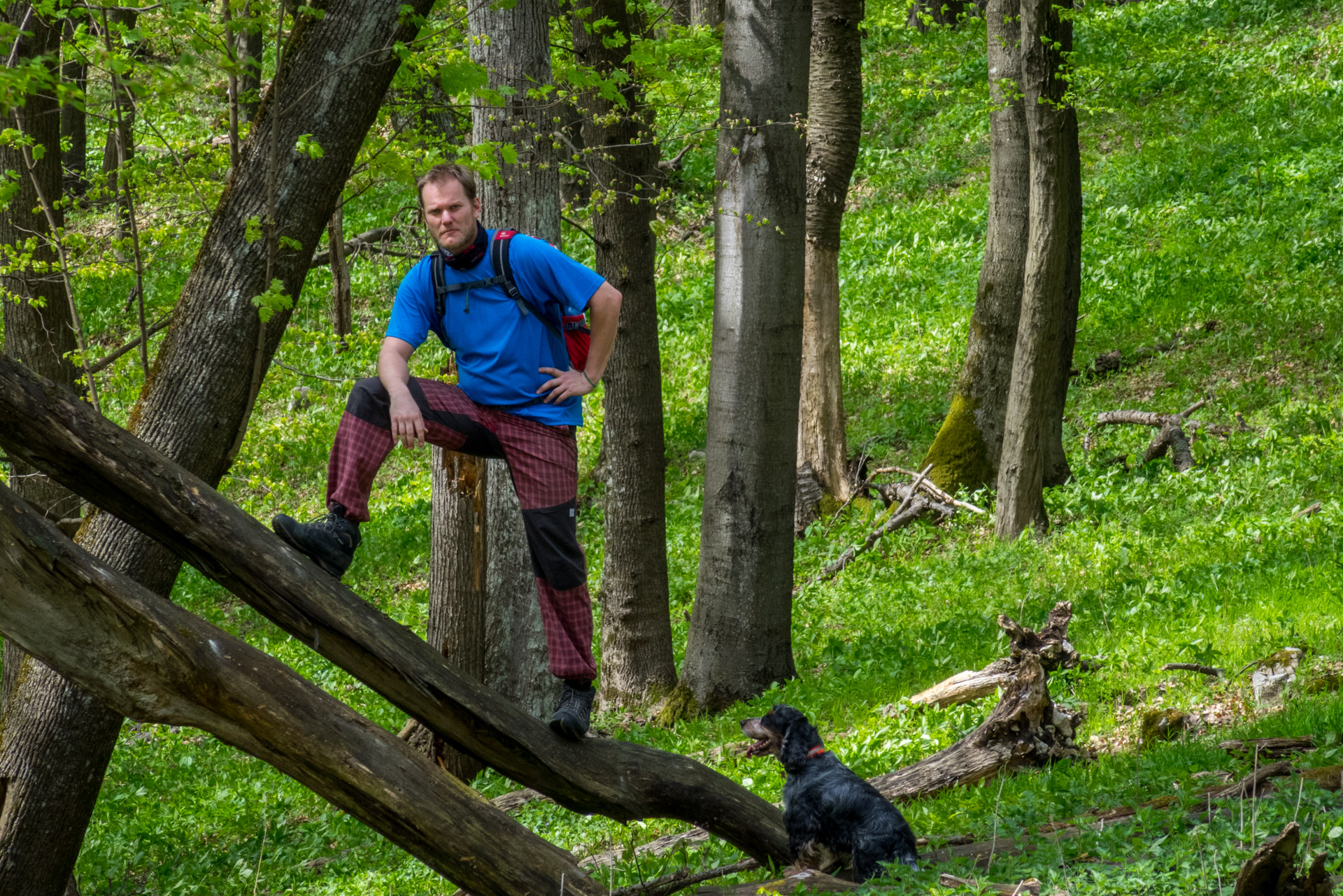 Dievčenská skala a Silická ľadnica skratkami Silickej planiny (Slovenský kras)