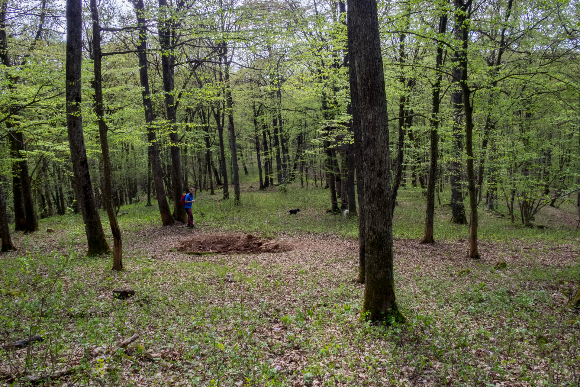 Dievčenská skala a Silická ľadnica skratkami Silickej planiny (Slovenský kras)