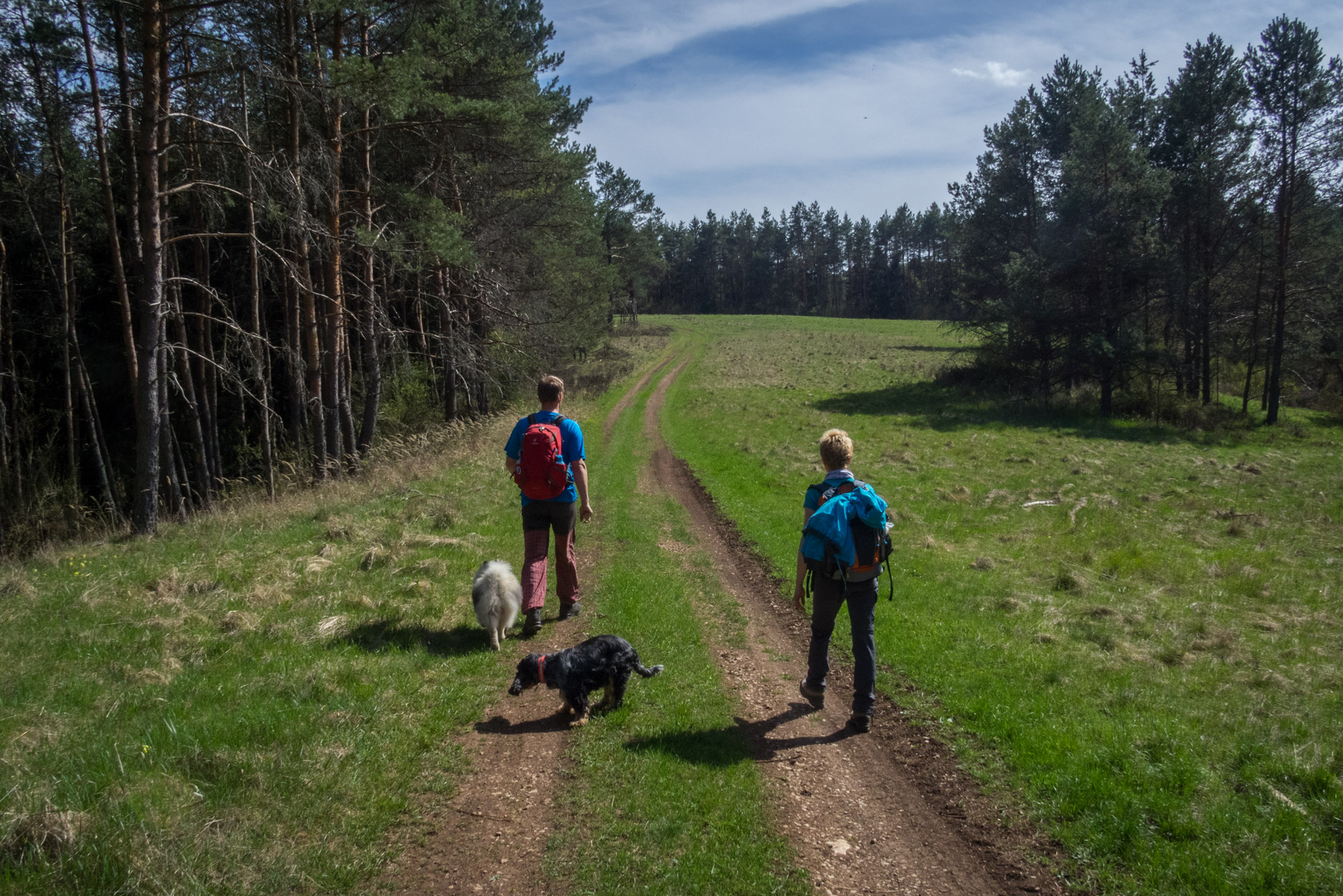 Dievčenská skala a Silická ľadnica skratkami Silickej planiny (Slovenský kras)