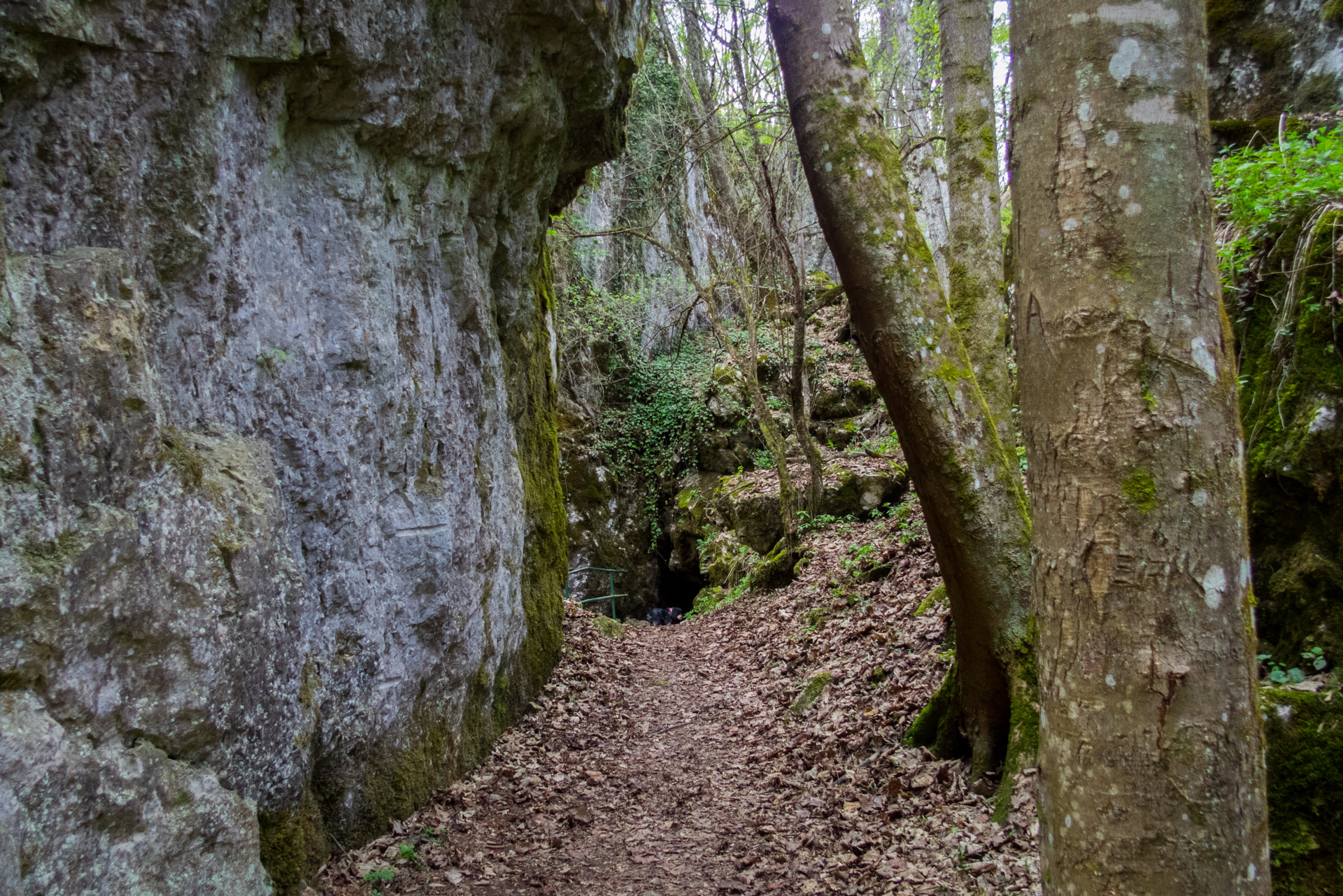 Dievčenská skala a Silická ľadnica skratkami Silickej planiny (Slovenský kras)