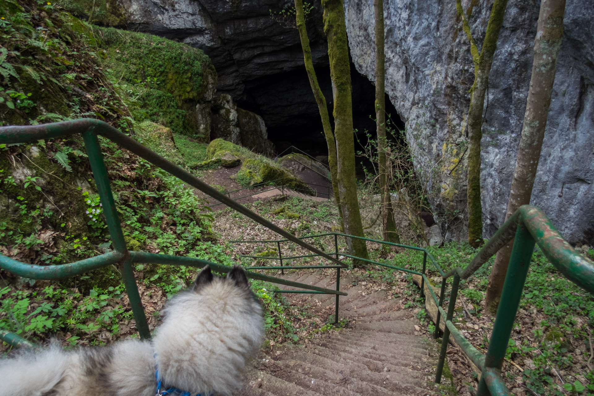 Dievčenská skala a Silická ľadnica skratkami Silickej planiny (Slovenský kras)