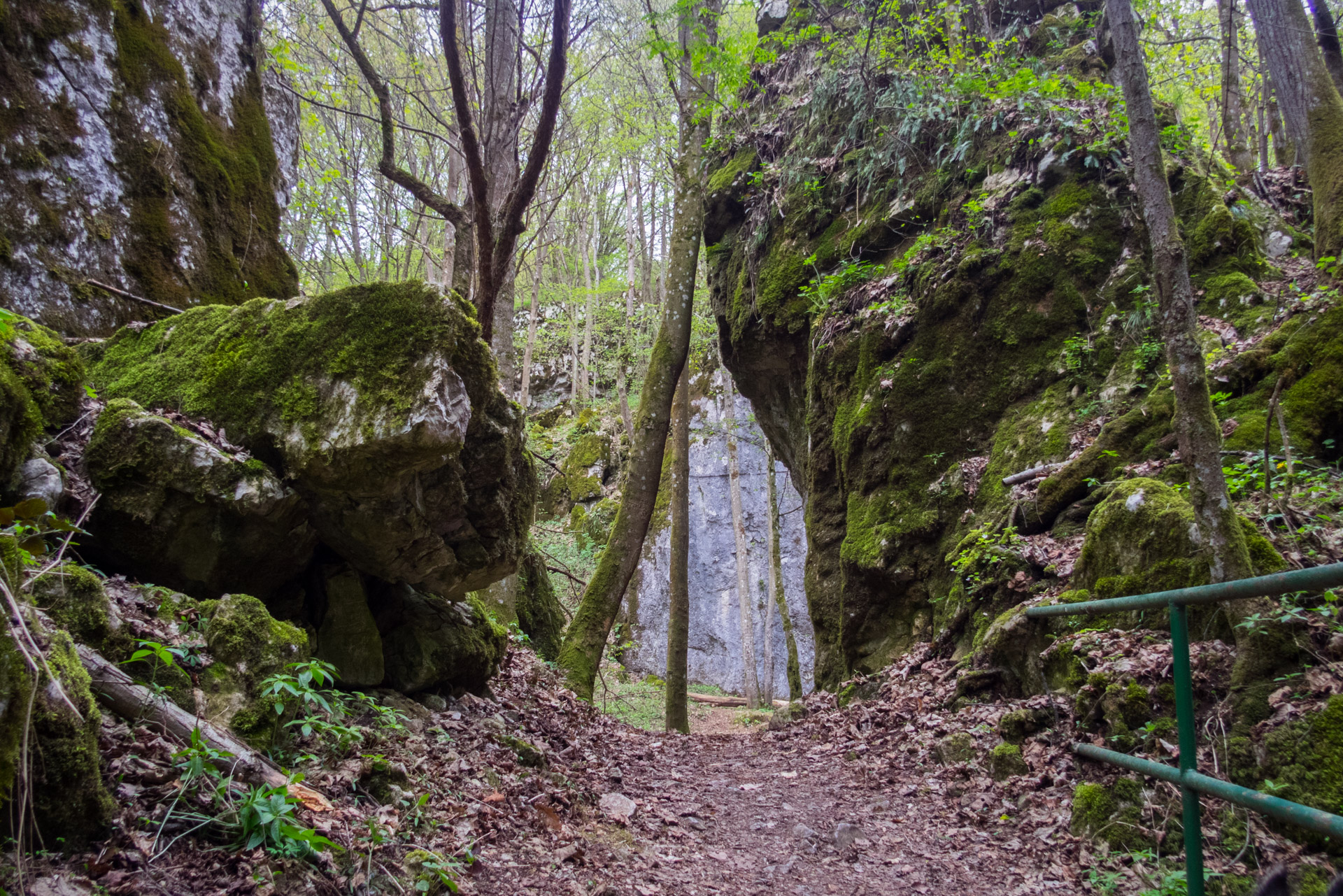 Dievčenská skala a Silická ľadnica skratkami Silickej planiny (Slovenský kras)