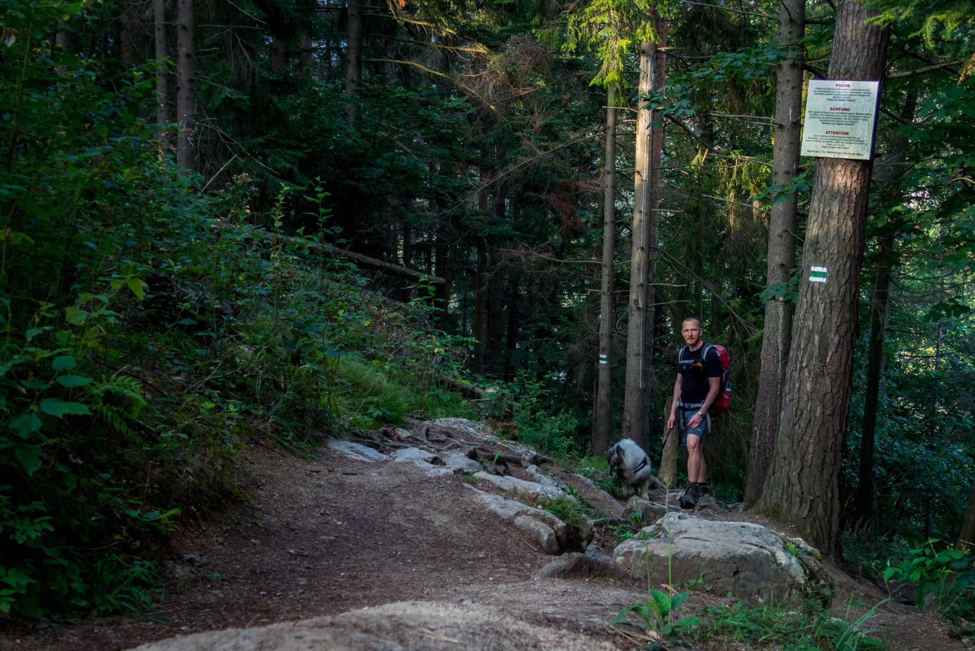 Ferrata HZS Kyseľ zo Spišských Tomášoviec (Slovenský raj)