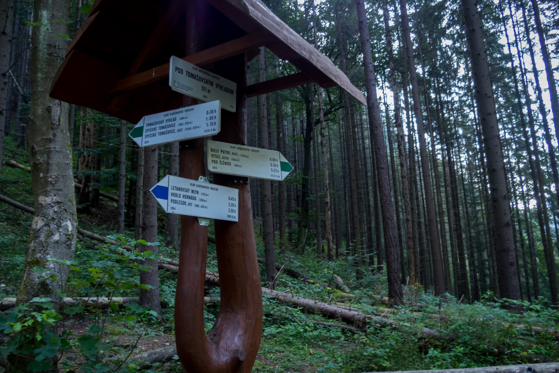 Ferrata HZS Kyseľ zo Spišských Tomášoviec (Slovenský raj)