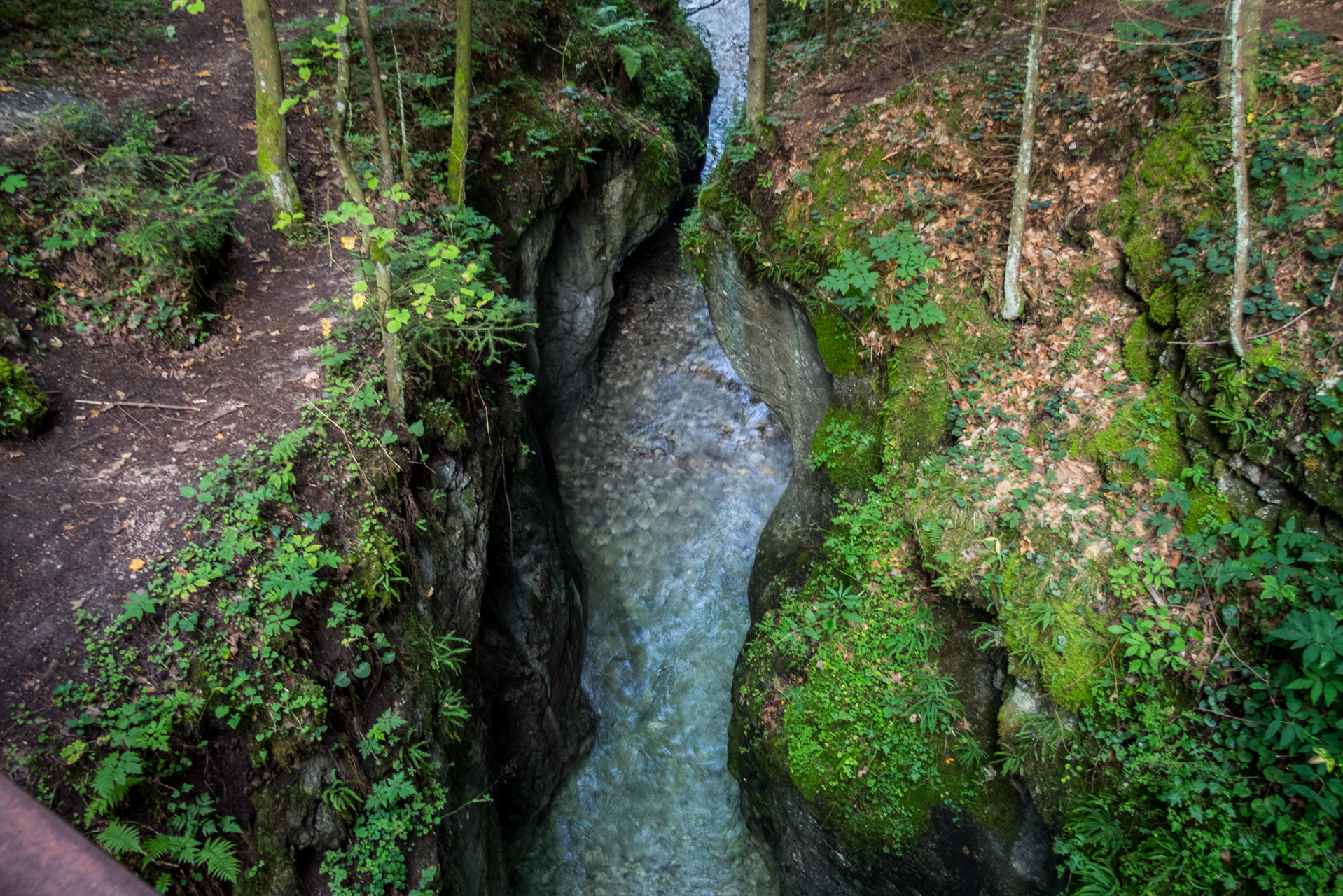 Ferrata HZS Kyseľ zo Spišských Tomášoviec (Slovenský raj)