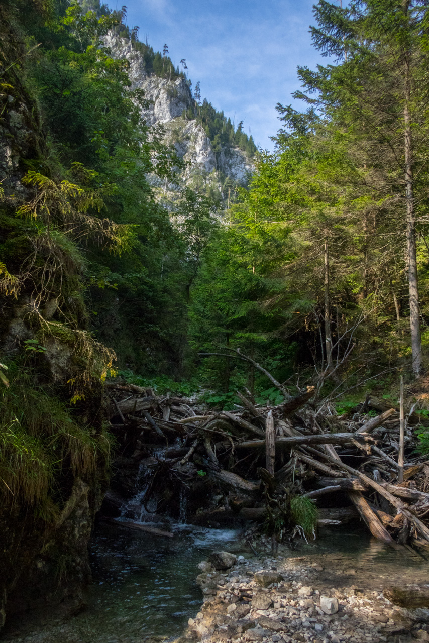 Ferrata HZS Kyseľ zo Spišských Tomášoviec (Slovenský raj)