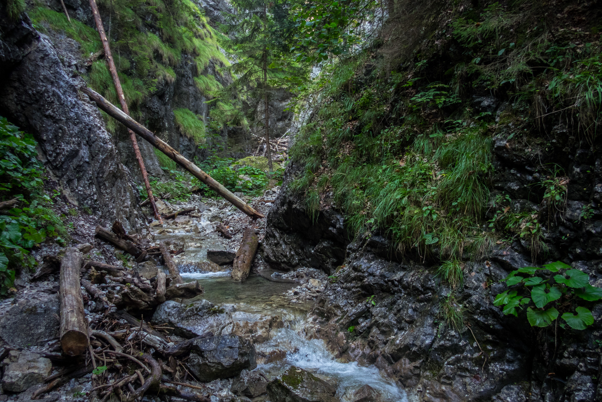 Ferrata HZS Kyseľ zo Spišských Tomášoviec (Slovenský raj)