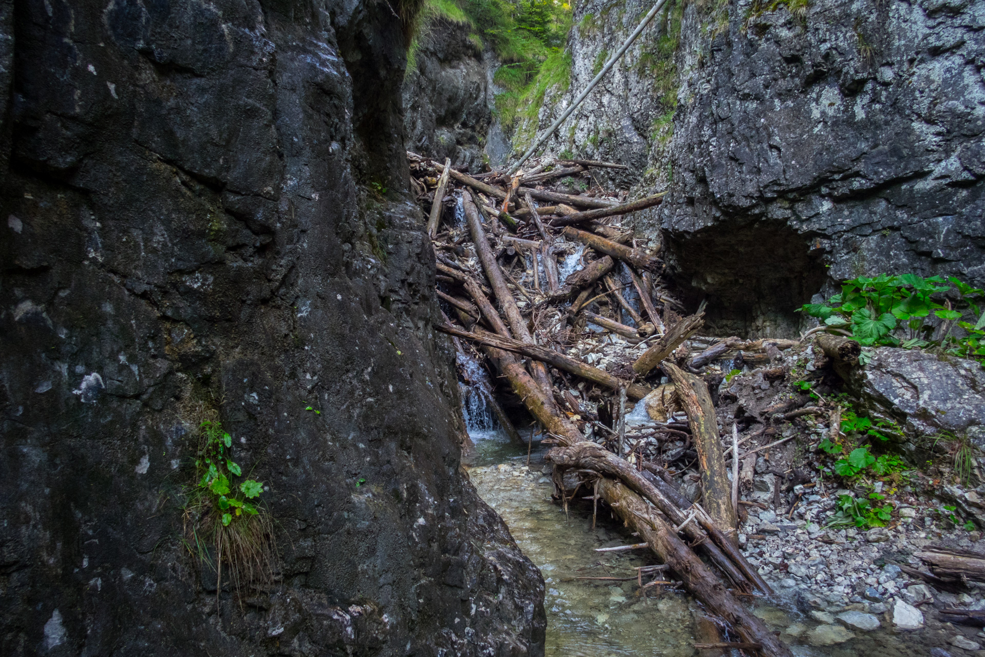 Ferrata HZS Kyseľ zo Spišských Tomášoviec (Slovenský raj)