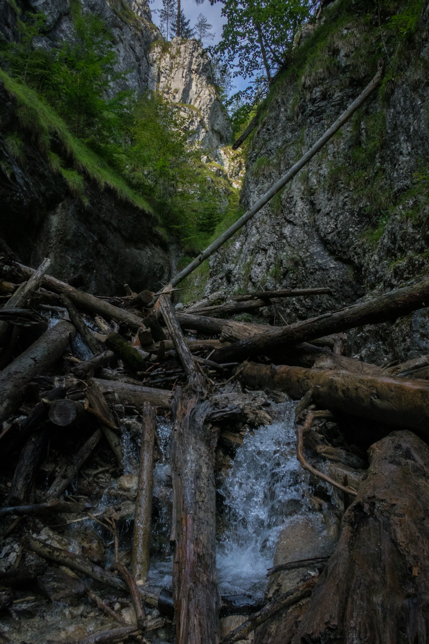 Ferrata HZS Kyseľ zo Spišských Tomášoviec (Slovenský raj)