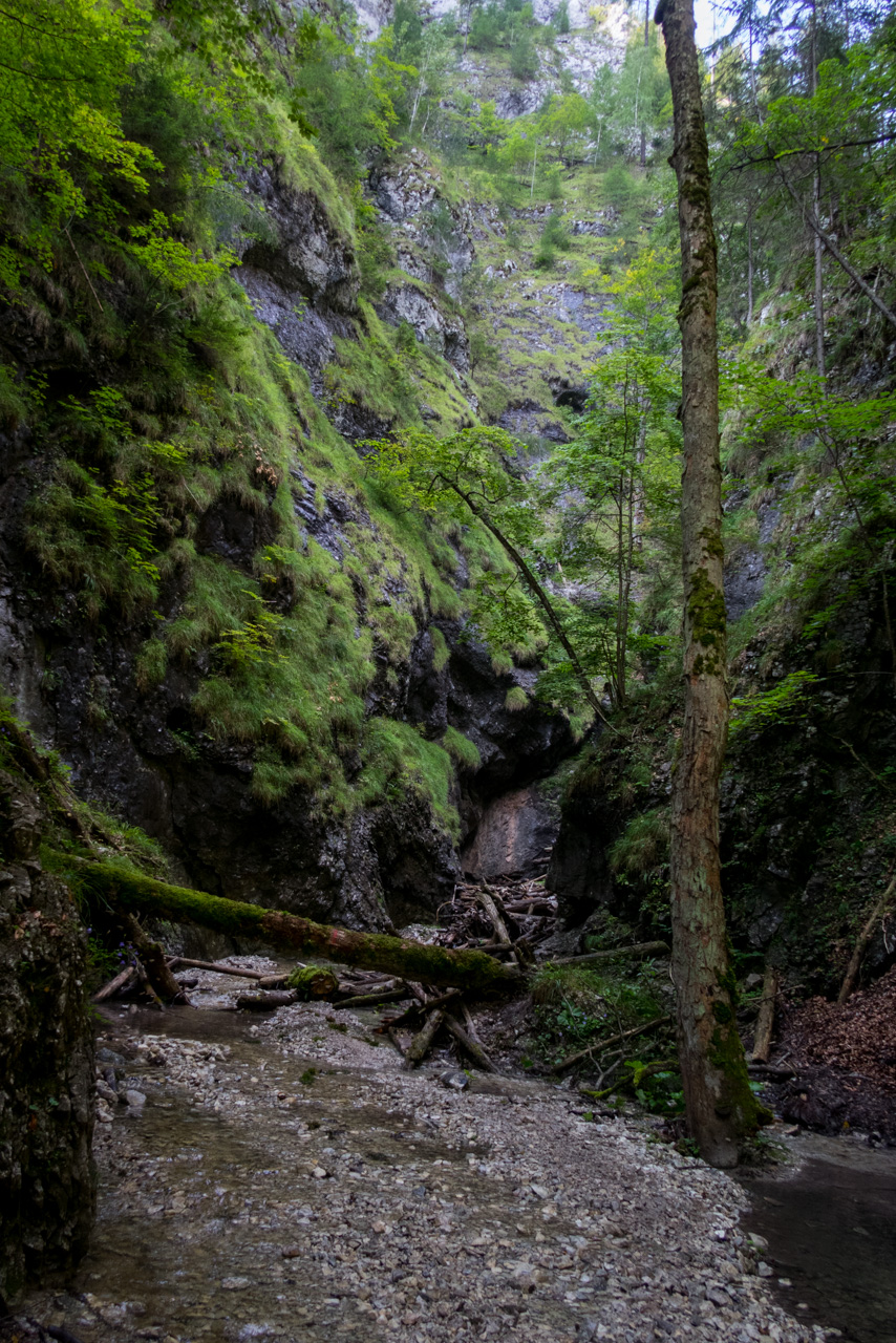 Ferrata HZS Kyseľ zo Spišských Tomášoviec (Slovenský raj)