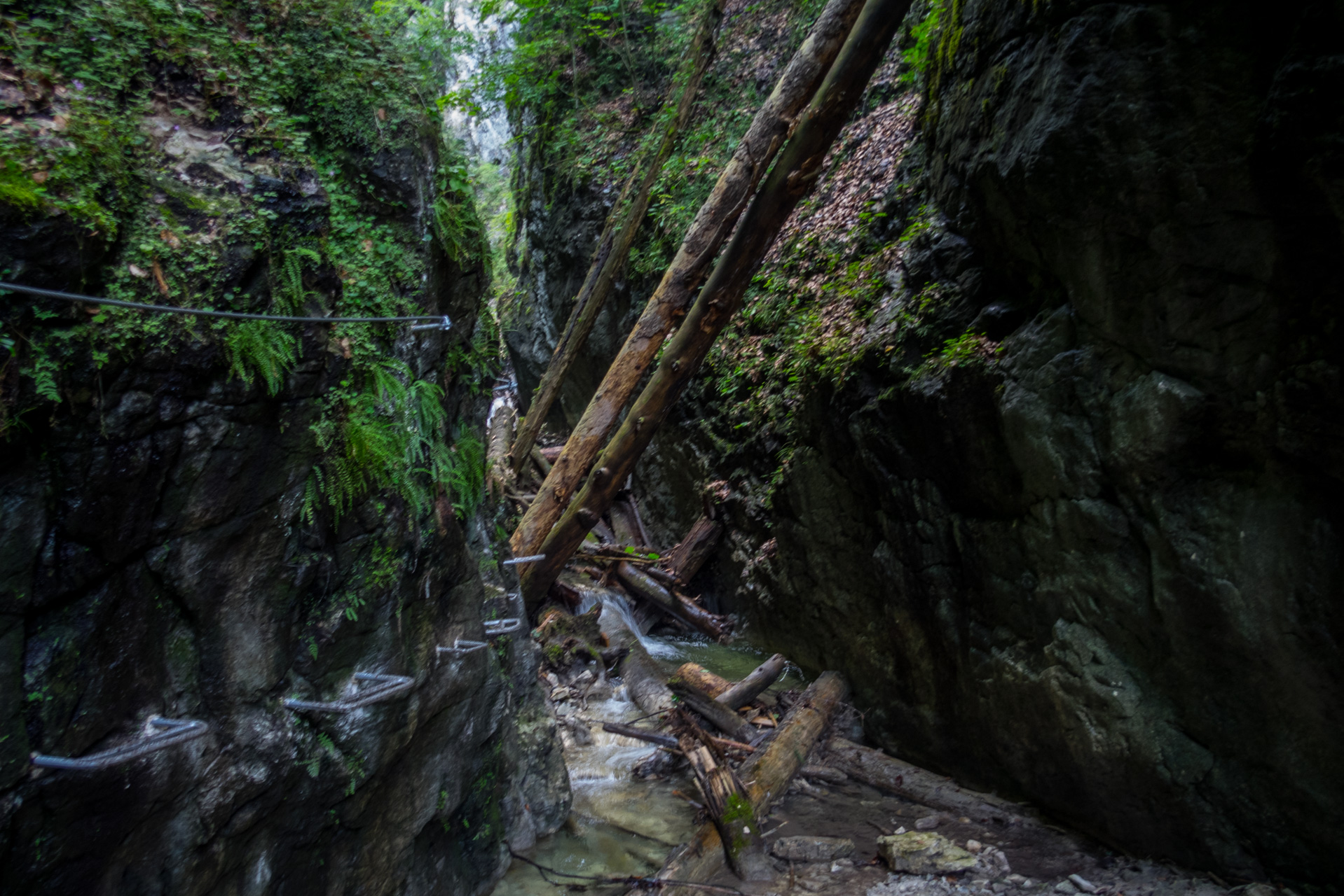 Ferrata HZS Kyseľ zo Spišských Tomášoviec (Slovenský raj)