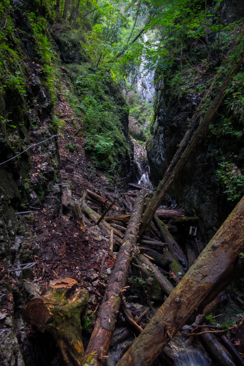 Ferrata HZS Kyseľ zo Spišských Tomášoviec (Slovenský raj)